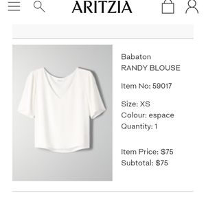 Aritzia Babaton
RANDY BLOUSE
